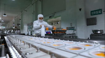 果秀食品 以生物基材料技術研發(fā)為引擎，開啟創(chuàng)新轉型新征程，再鑄“新果秀”輝煌